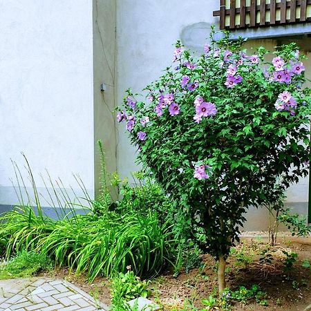 Room In City Center Halle With Shared Bathroom & Kitchen - Free Wifi, Netflix, Ipad & Ground Floor Halle (Saale) Exterior foto